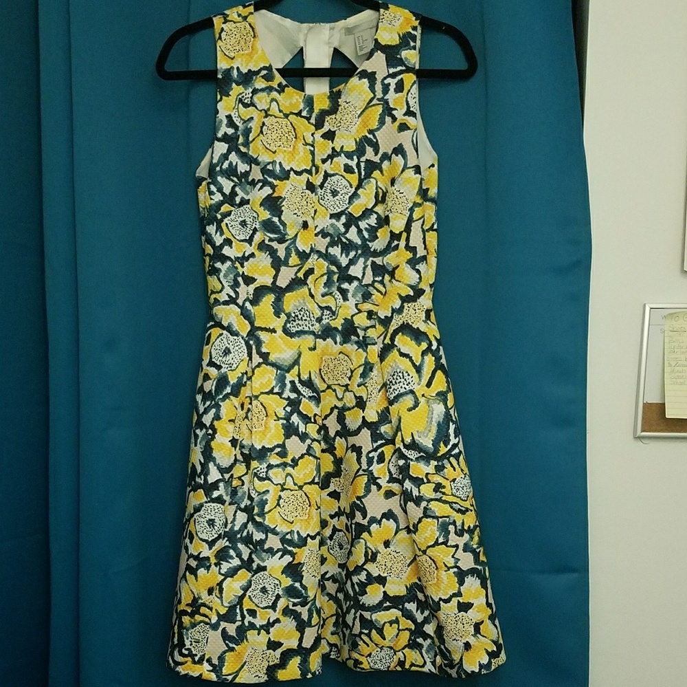 H&M Summer Dress